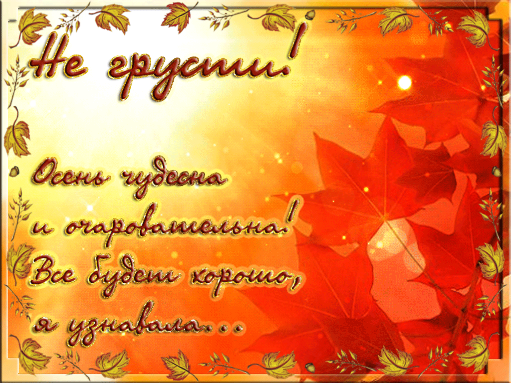 Открытка Не грусти - Осенняя открытка: яркие листья и теплый фон | Красивая открытка #115