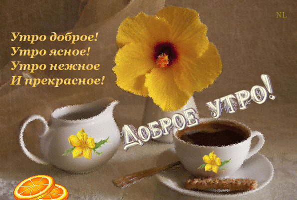 Открытка Доброе утро - Утро!

Открытка с чашкой кофе и цветком. | Красивая открытка #203
