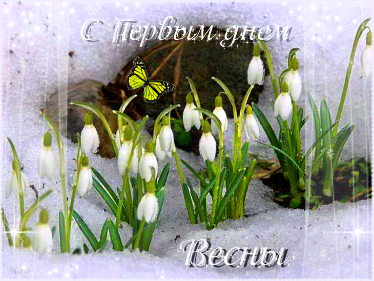Открытка Первый день весны - Подснежники и бабочка: весенняя открытка | Красивая открытка #38