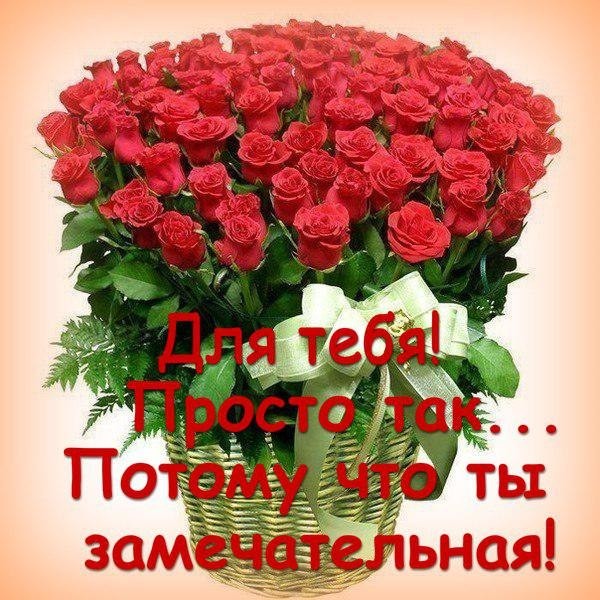 Открытка Просто так - Букет роз, красные цветы, зеленые листья | Красивая открытка #27