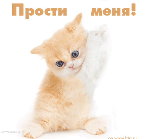 Открытка Прости - Милый рыжий котенок на открытке | Красивая открытка #131