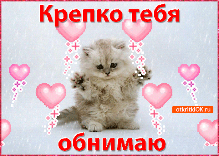 Открытка Обнимаю - Открытка с котенком: милые поздравления онлайн | Красивая открытка #136