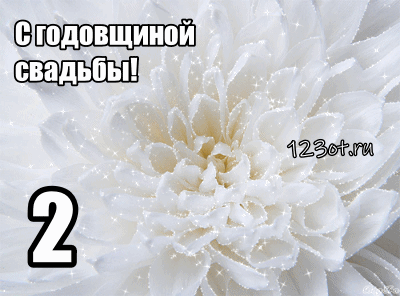 Открытка Открытки на Бумажную свадьбу 2 года - Белая хрустальная анютины глазки — открытка | Красивая открытка #38