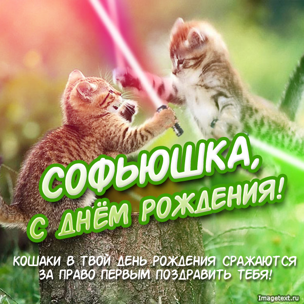 Открытка открытки с именем Софья - Открытка с котятами на день рождения - ImageText.ru | Красивая открытка #14
