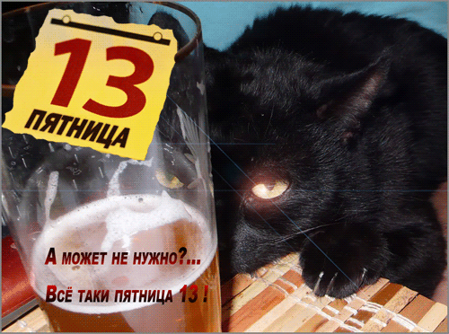 Открытка Открытки на пятницу 13 - Забавный кот в пакете с надписью "13" | Красивая открытка #70