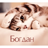 Открытка открытки с именем Богдан - Милый котенок: открытка с котенком для поздравлений | Красивая открытка #19