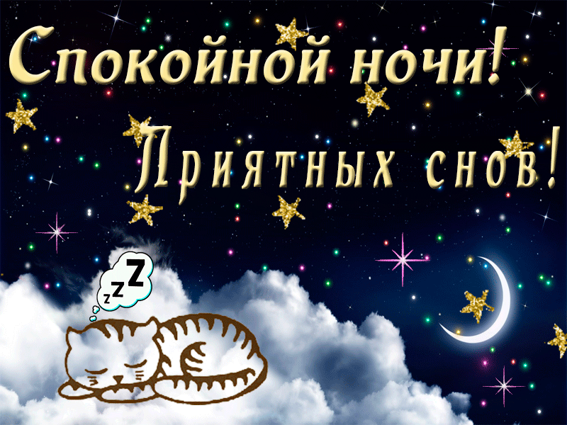 Открытка Доброй ночи - Открытка коту: Сладких снов, ночи. | Красивая открытка #14