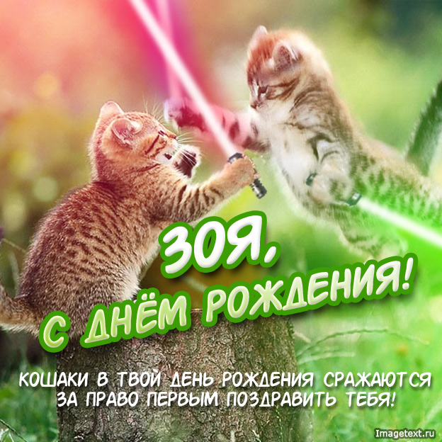 Открытка открытки с именем Зоя - С Днём Рождения! Открытка с котятами | Красивая открытка #10