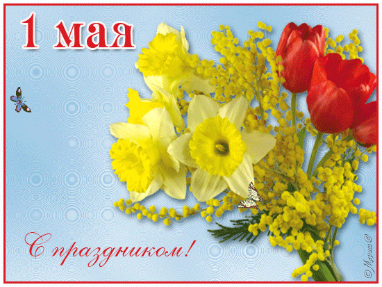 Открытка 1 мая - Открытка: мимоза, тюльпаны, бабочка | Красивая открытка #310