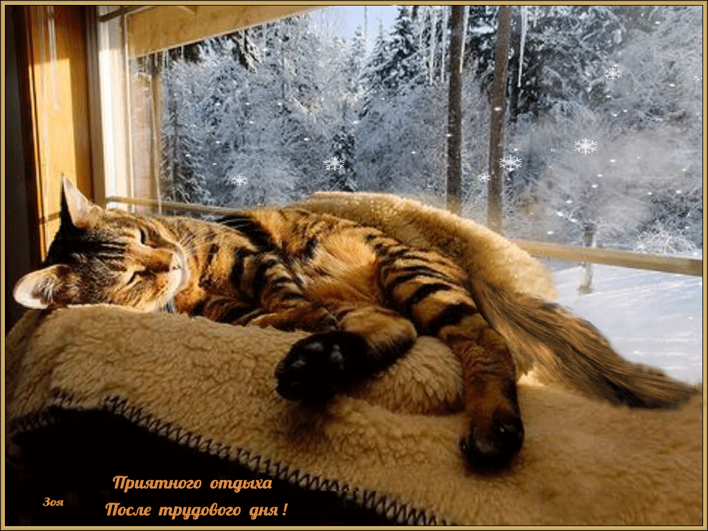 Открытка Хорошего отдыха, отпуска - Спящий кот на окне: поздравления с Новым годом | Красивая открытка #4