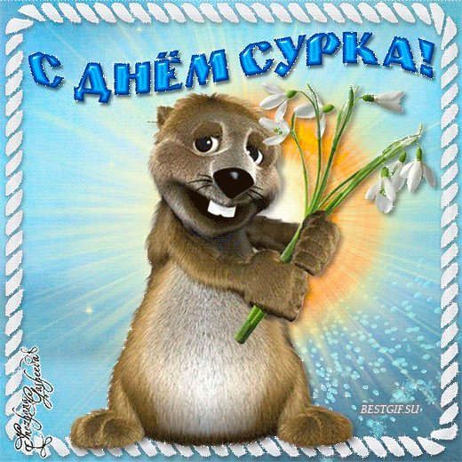 Открытка Открытки с днем сурка - Открытка с сурком и подснежниками | Красивая открытка #31