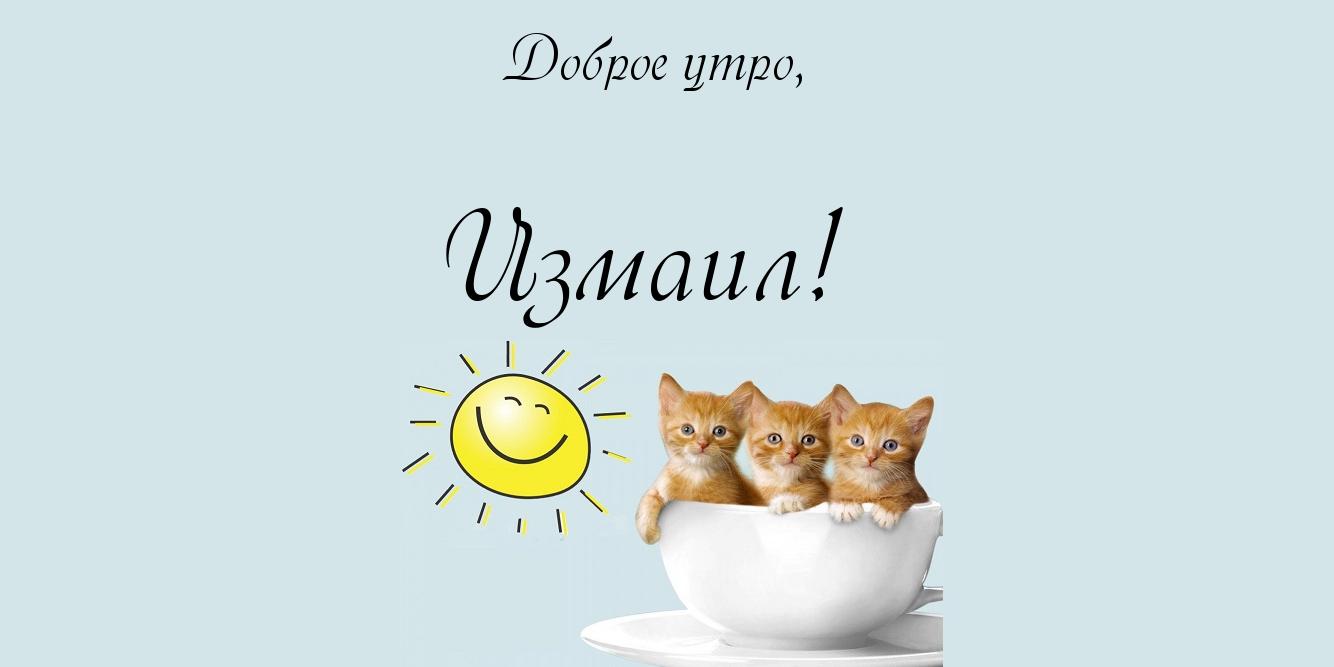 Открытка открытки с именем Измаил  - Открытка с котятами на чашке | Красивая открытка #8