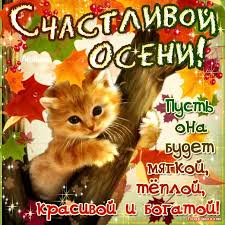 Открытка открытки с первым осенним днем  - Открытка с котенком на осеннем фоне | Красивая открытка #24