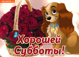 Открытка Выходные - Открытка с собакой и розами | Красивая открытка #65
