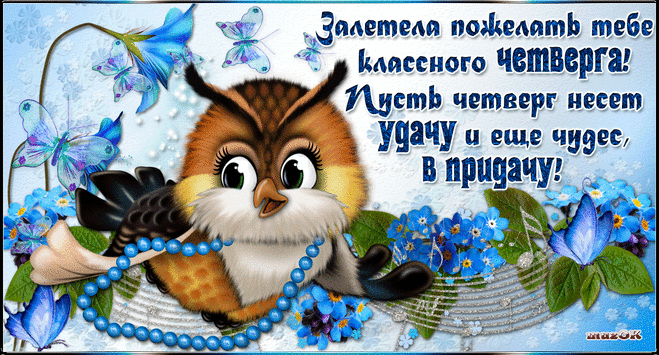Открытка Открытки на четверг - Открытка с совой и голубями. | Красивая открытка #88