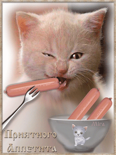 Открытка приятного аппетита - Котик и сосиски: Забавная открытка с котятами | Красивая открытка #49