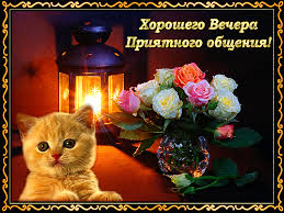 Открытка открытки с пожеланиями доброго вечера  - Котенок и цветы: Открытка с милым котенком и розами | Красивая открытка #25