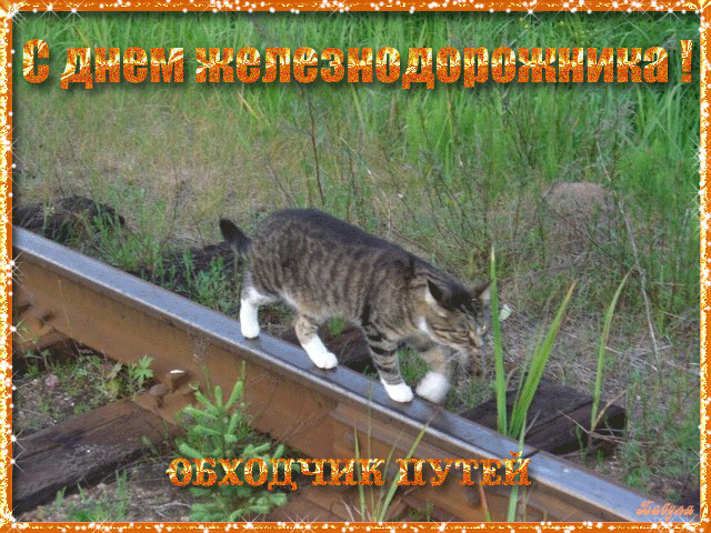 Открытка День железнодорожника - Кошка на железнодорожных путях: открытка с котиком | Красивая открытка #38