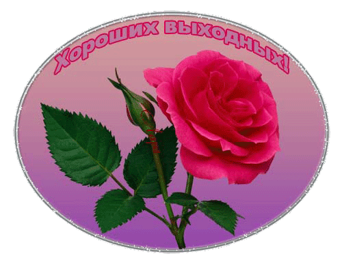 Открытка Открытки хороших выходных - Розовая роза на открытке  поздравительная картинка | Красивая открытка #48