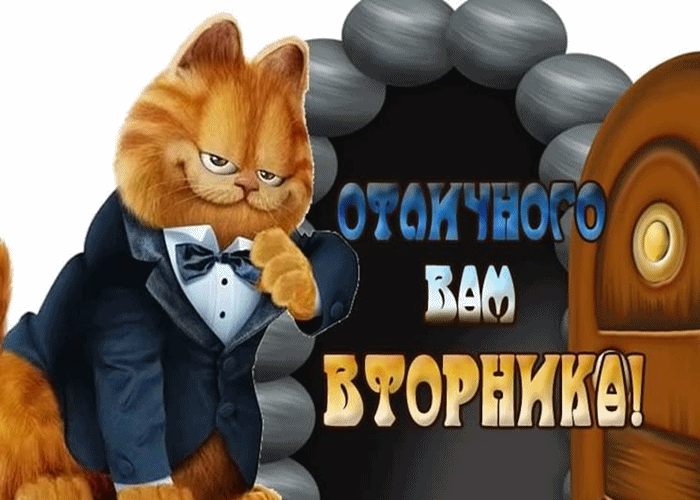 Открытка Открытки на вторник - Кот в смокинге на открытке. | Красивая открытка #20