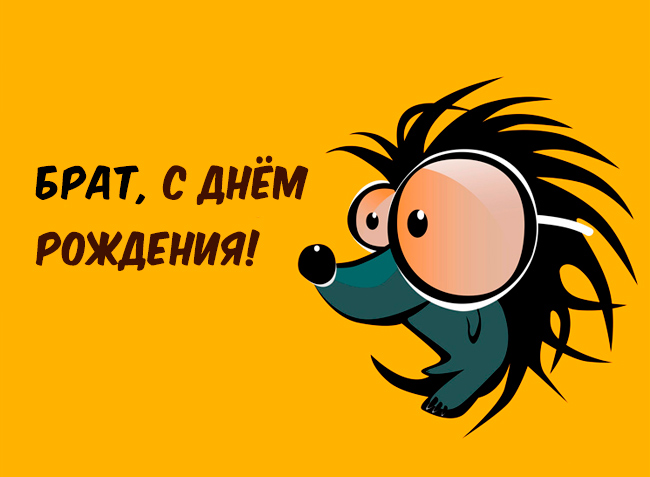 Открытка Открытки с Днем Рождения брату - Забавная открытка с ежиком | Красивая открытка #53