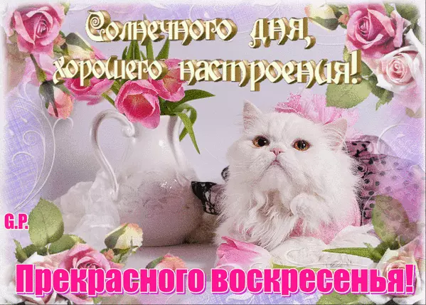 Открытка Выходные - Открытка с котенком и розами | Красивая открытка #24