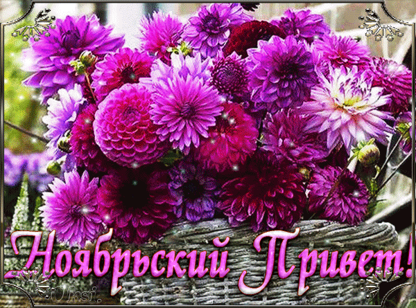 Открытка Ноябрьский - Открытка с фиолетовыми цветами | Красивая открытка #3