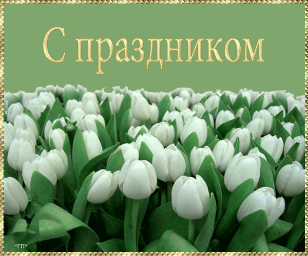 Открытка 8 марта - Поле тюльпанов: нежная открытка с цветами | Красивая открытка #18