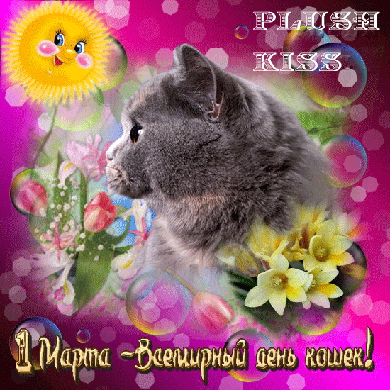 Открытка Открытки с днем кошек - С Днем котика! Открытка с милым котенком | Красивая открытка #31