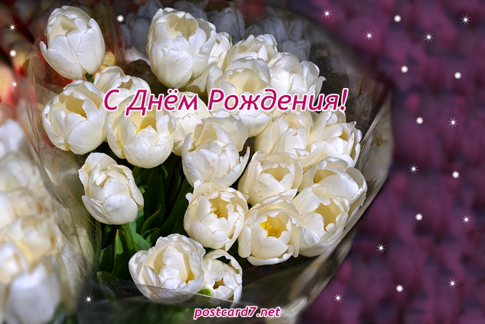 Открытка открытки с тюльпанами на день рождения - Открытка с тюльпанами: С днем рождения! | Красивая открытка #13