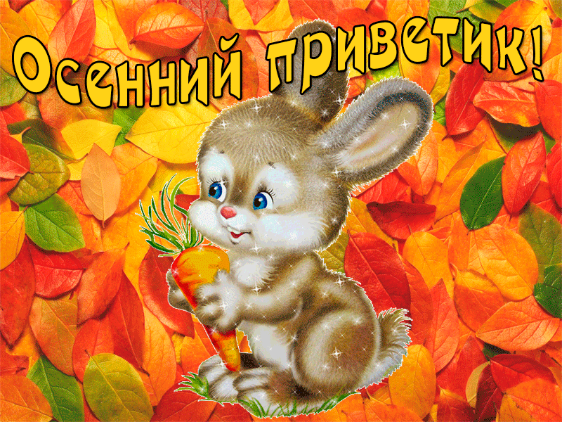 Открытка осенний привет - Зайка с морковкой на осеннем фоне | Красивая открытка #24