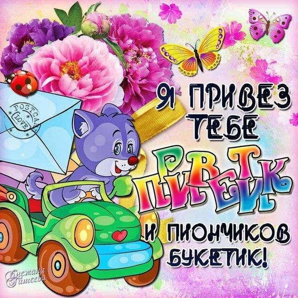 Открытка открытки с приветствием  - Открытка с котиком в машине и цветами | Красивая открытка #12
