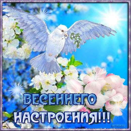 Открытка Открытки хорошего настроения - Открытка с голубем и цветами | Красивая открытка #167