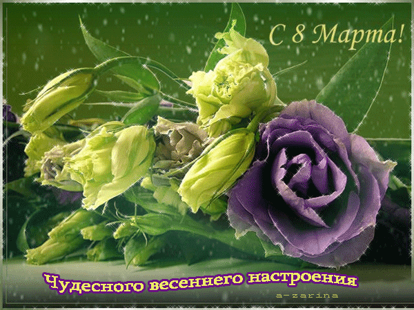 Открытка 8 марта анимация - Фиолетовые цветы и зелень. Открытка С 8 Марта. | Красивая открытка #13