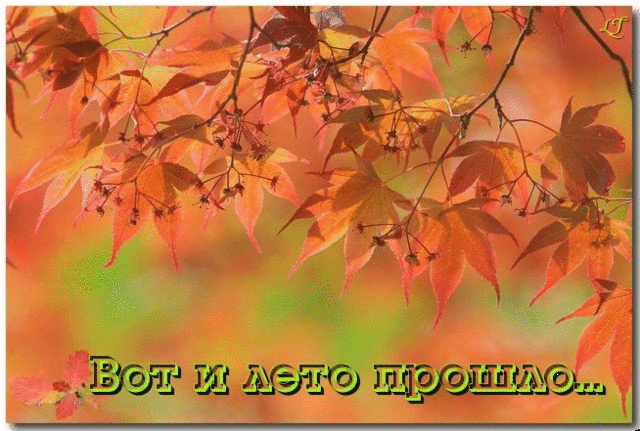 Открытка Открытки с первым днем осени - Осенние листья: открытка с текстом "Вот и лето прошло..." | Красивая открытка #63