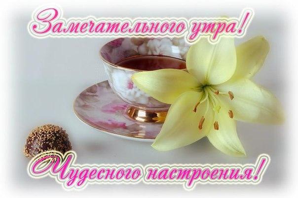 Открытка открытки с добрым утром - Открытка с цветком лилии, чаем и конфетой | Красивая открытка #236