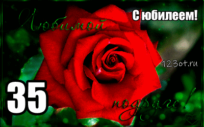 Открытка Открытки на 35 лет - Красная роза на открытке с надписью "С юбилеем!" | Красивая открытка #116