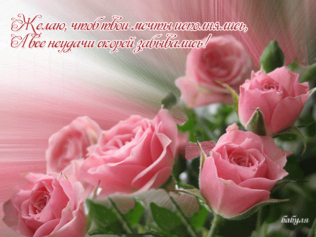 Открытка Исполнения желаний - Розовые розы на открытке - поздравления с праздником | Красивая открытка #28