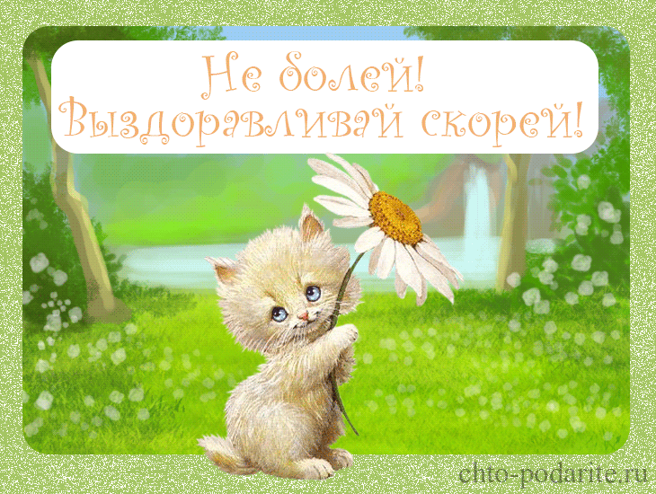 Открытка Открытки скорейшего выздоровления - Котенок с цветком: открытка с милым котенком | Красивая открытка #36