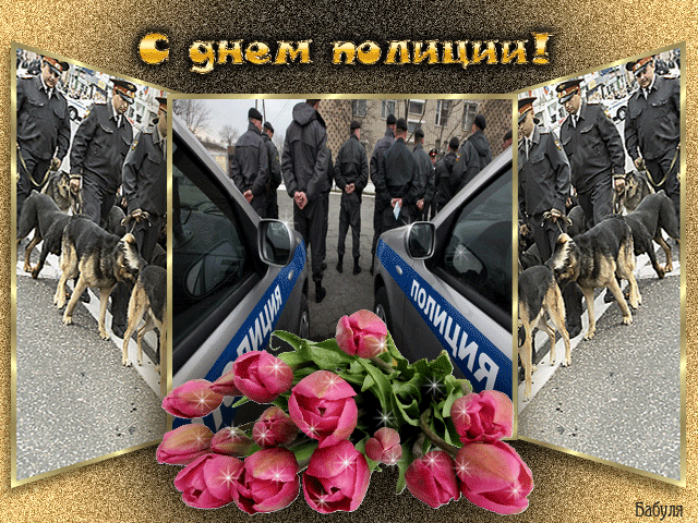 Открытка Открытки на День сотрудника органов внутренних дел Российской Федерации - Полицейские на фоне машин, цветы. Открытка с Днём полиции | Красивая открытка #97