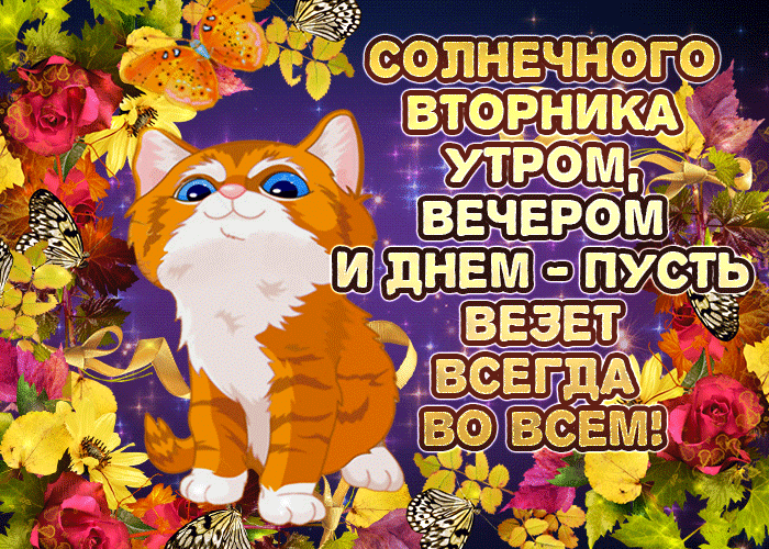 Открытка Вторник - Открытка с рыжим котенком на фоне цветов | Красивая открытка #5