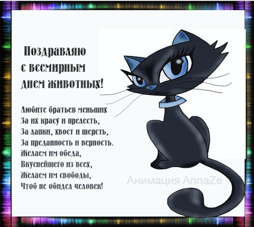 Открытка День защиты животных - Открытка с чёрным котенком — поздравления с праздником | Красивая открытка #12