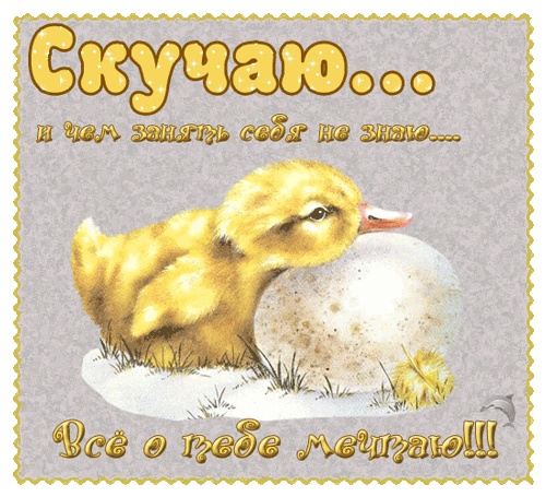 Открытка Скучаю - Пушистый цыпленок на гнезде. Открытка с цыпленком | Красивая открытка #43
