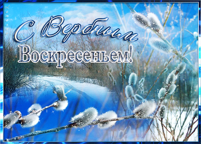 Открытка Вербное Воскресенье - Верба на снегу: зимняя открытка с ветками | Красивая открытка #296