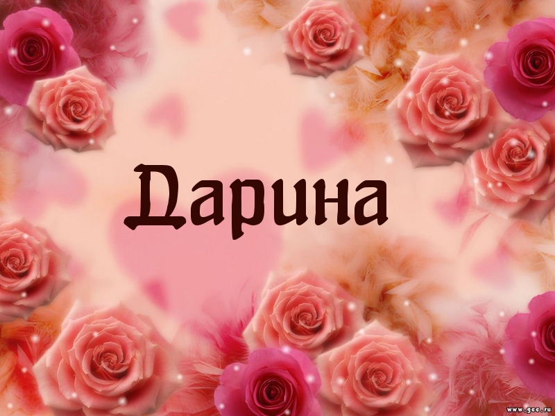 Открытка открытки с именем Дарина  - Розовые розы на открытке  Праздничная открытка | Красивая открытка #2