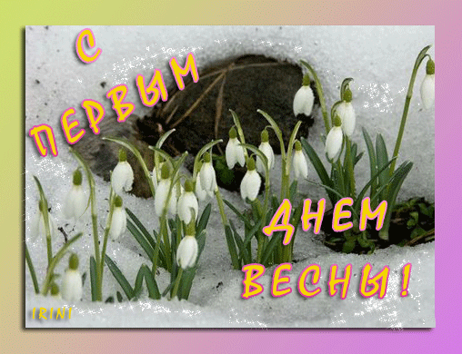 Открытка Открытки с первым днем весны - Подснежники на снегу  поздравительная открытка | Красивая открытка #4