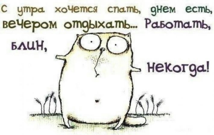 Открытка Остроумные открытки с приколами - Забавная открытка с котом. С днем рождения! | Красивая открытка #1