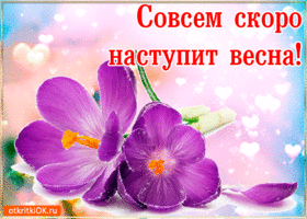 Открытка Открытки весенняя пора - Фиолетовые цветы: открытки с весенним настроением | Красивая открытка #238