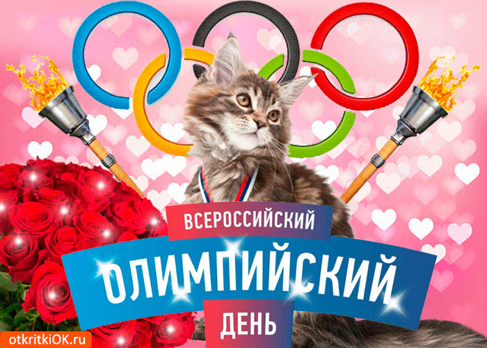 Открытка Международный Олимпийский день - Открытка кота на Олимпиаде: День Победы | Красивая открытка #13