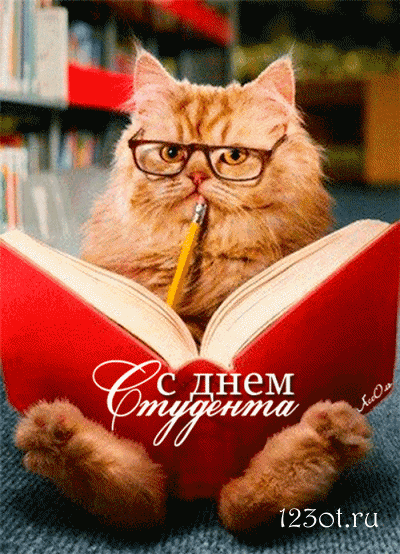 Открытка открытки на день студента  - Открытка с котом в очках с книгой | Красивая открытка #101